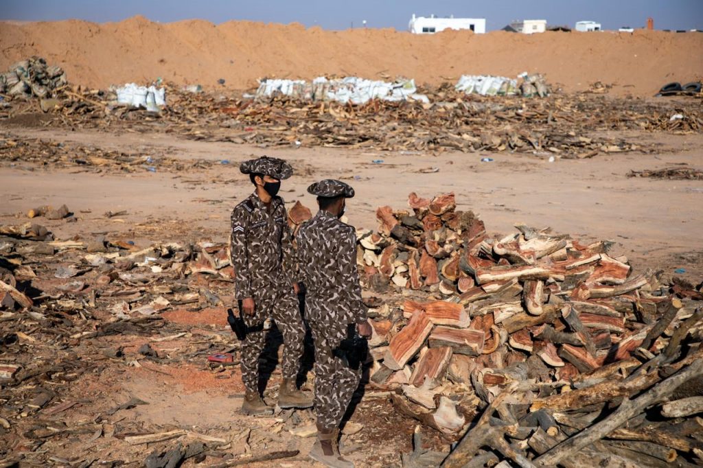 القوات الخاصة للأمن البيئي تضبط 90 طناً من الحطب المحلي المعد للبيع في مدينة الرياض